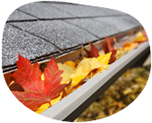 Gutters & Downspouts Cleaning